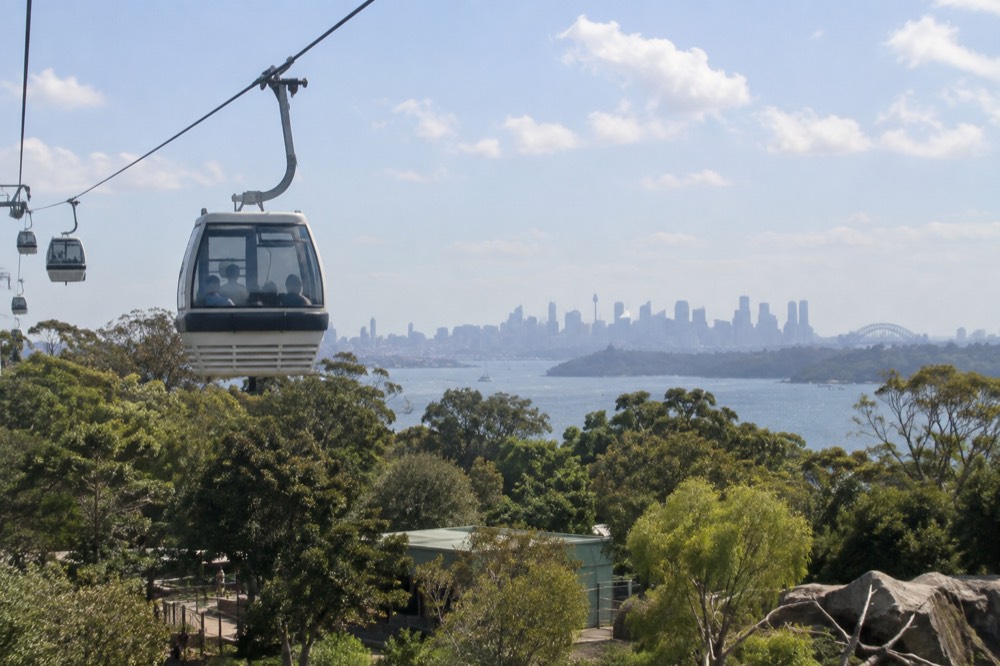 A cable car cabin travelling above zoo treetops with the city skyline in the distance