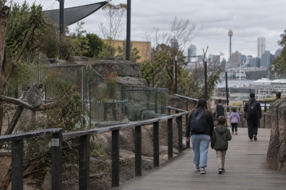 Families walking along a boardwalk between animal enclosures in a wildlife park