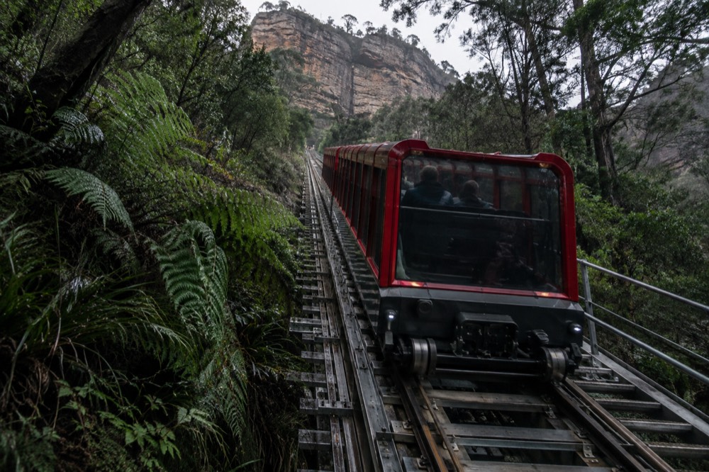 A mountain railway carriage descending through cliffside rainforest at a scenic attraction