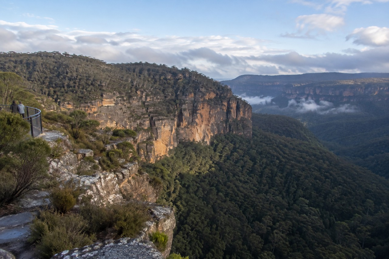 Sandstone cliffs rising above a forested valley in the Blue Mountains under morning light