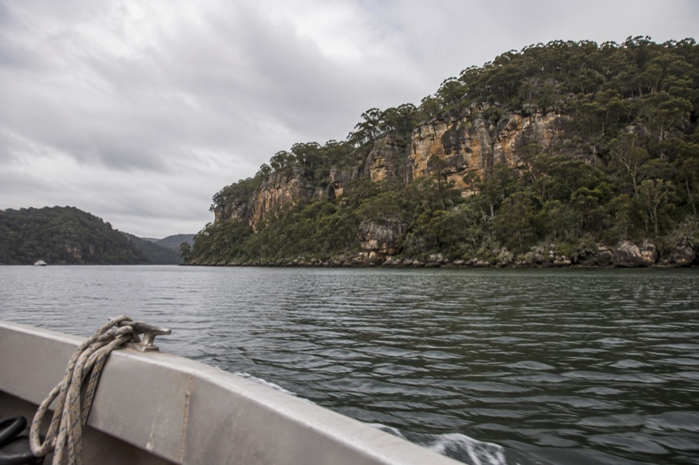Sandstone cliffs rising above a wide tidal river with eucalyptus forest along the shoreline
