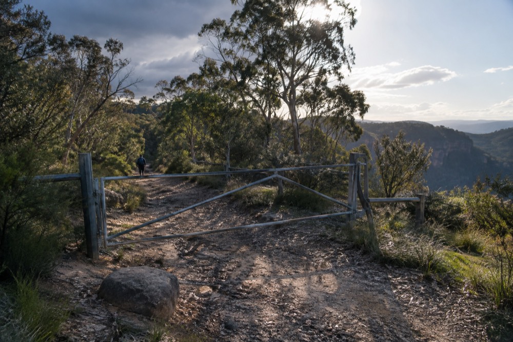 A closed gate across a bush track with a sign and dry eucalypt forest
