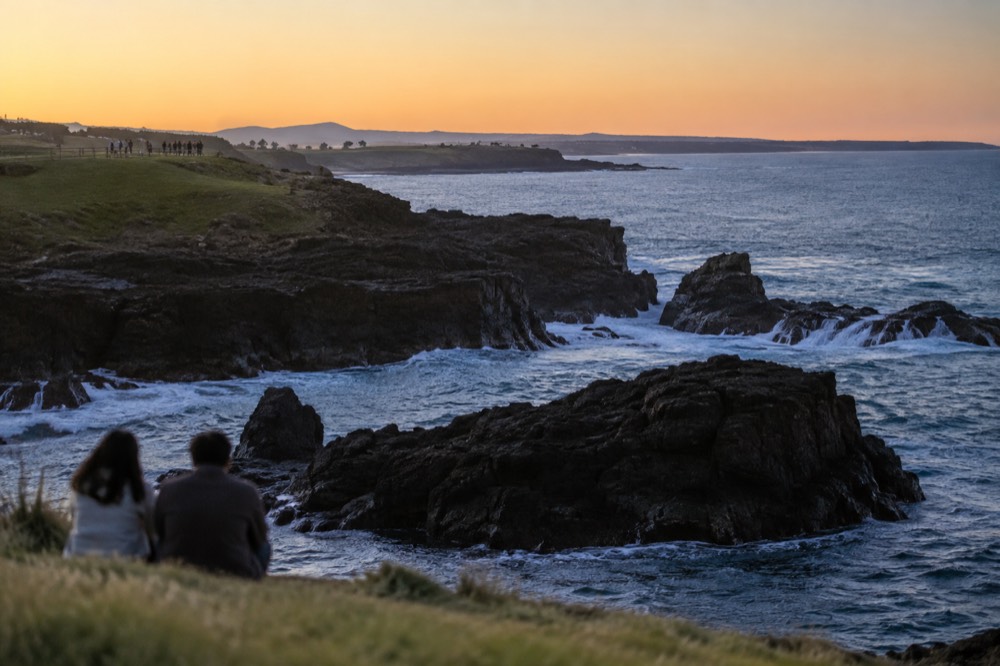Black basalt rock formations standing in clear blue water along a grassy coastline