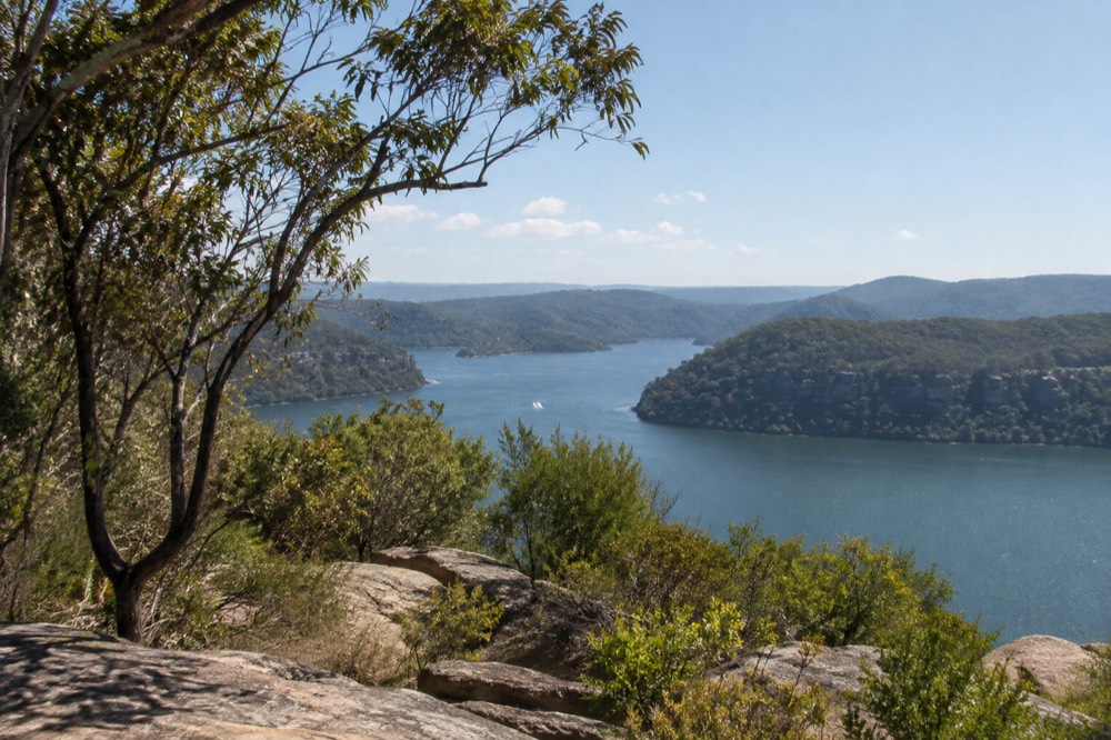 Hawkesbury River sandstone headlands seen from a ridge-top lookout