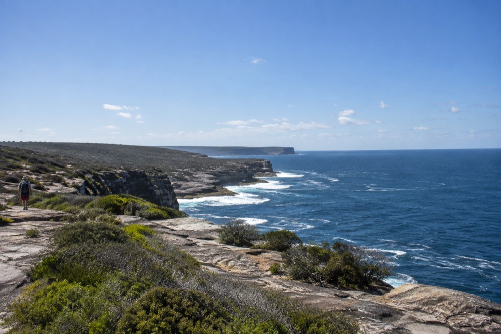 Heathland and sandstone escarpment above the ocean inside the Royal National Park