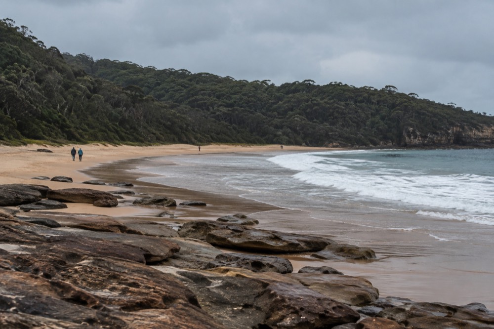 A curved sandy beach backed by dark green forest at the edge of the Royal National Park