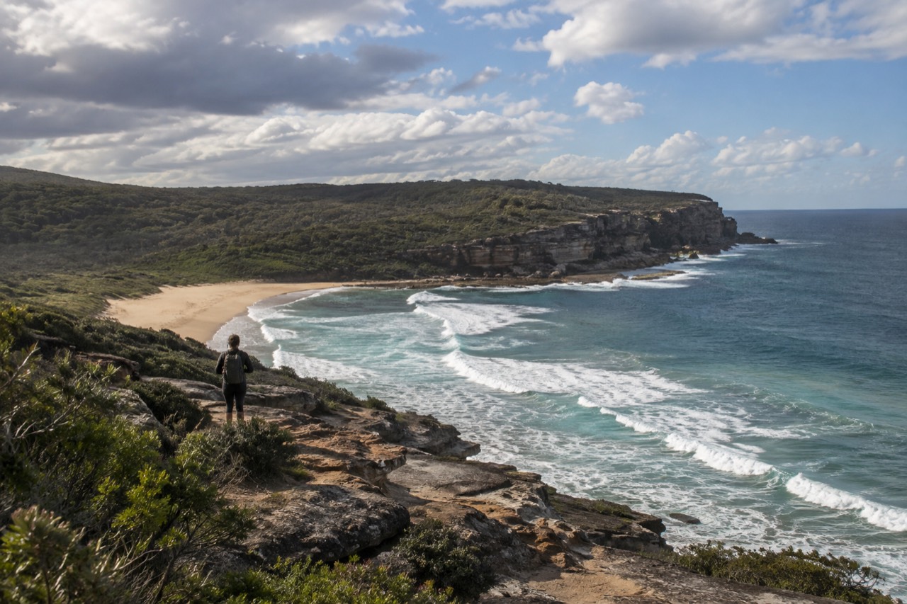 Sandstone cliffs and forested headland above a curved beach inside the Royal National Park