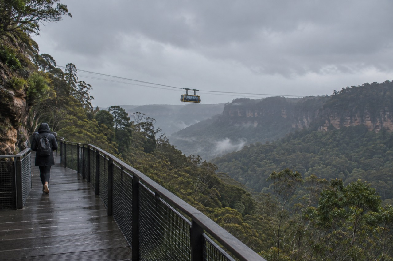 View across a forested sandstone valley with a cableway strung above the treetops