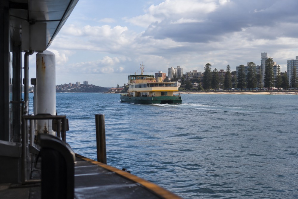 A ferry crossing open harbour water toward a beachside suburb with pine trees and a promenade