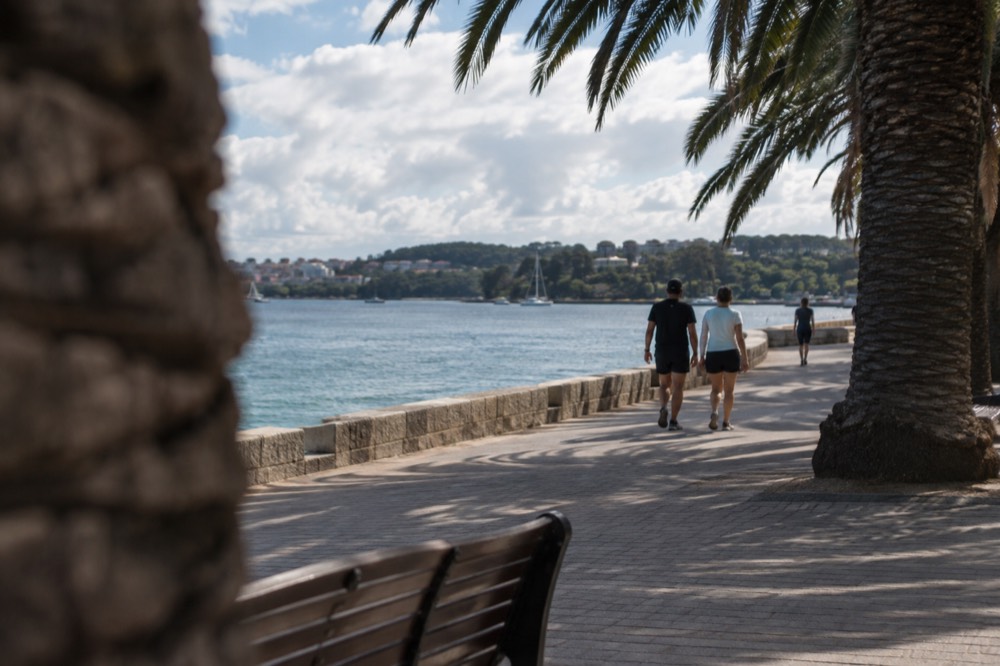 Palm-lined harbour foreshore path at Manly with calm blue water on a warm day
