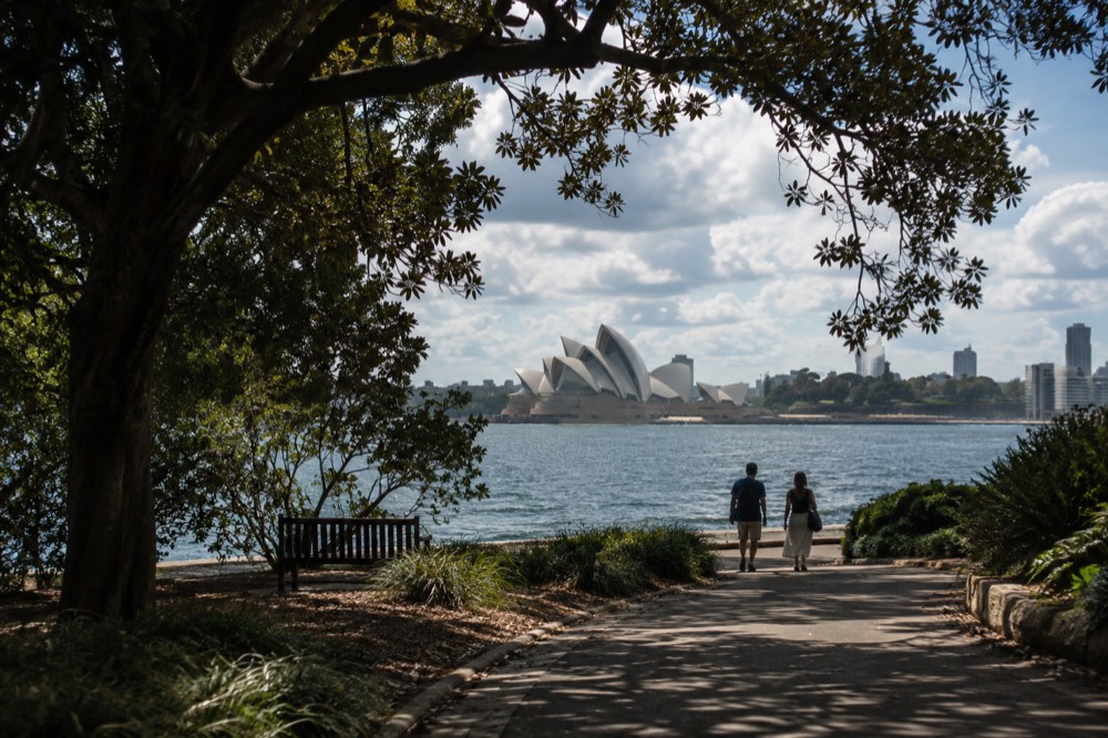 Royal Botanic Garden path with harbour water and Opera House roof beyond the trees