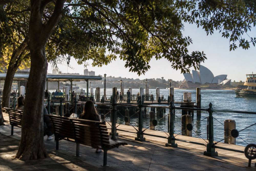 Shaded seats under trees beside a harbour walking path in Sydney