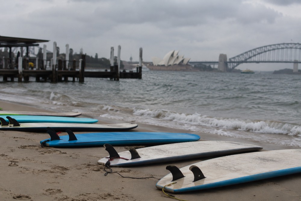 A line of foam beginner surfboards resting on wet sand with a low headland in the distance