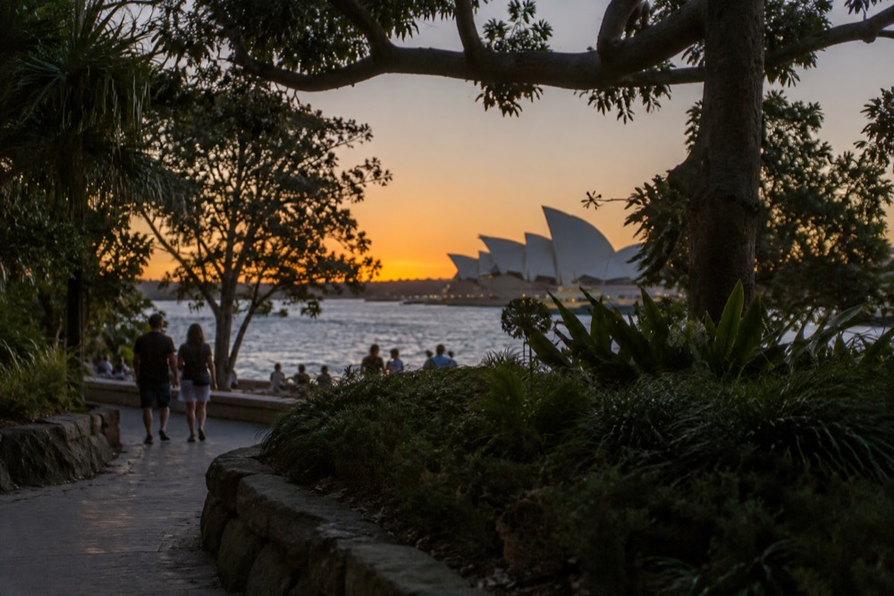 Shaded garden path beside the harbour with the Opera House roof visible through trees