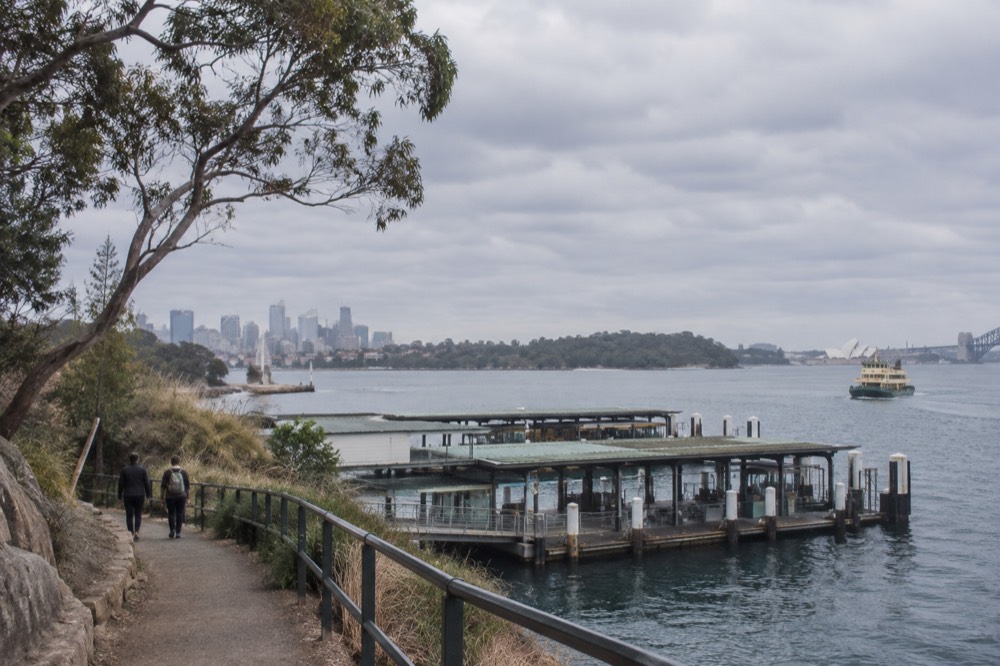 Dirt walking track winding through bushland above sparkling harbour water