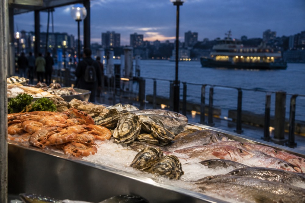 Fresh seafood on ice at an indoor market counter
