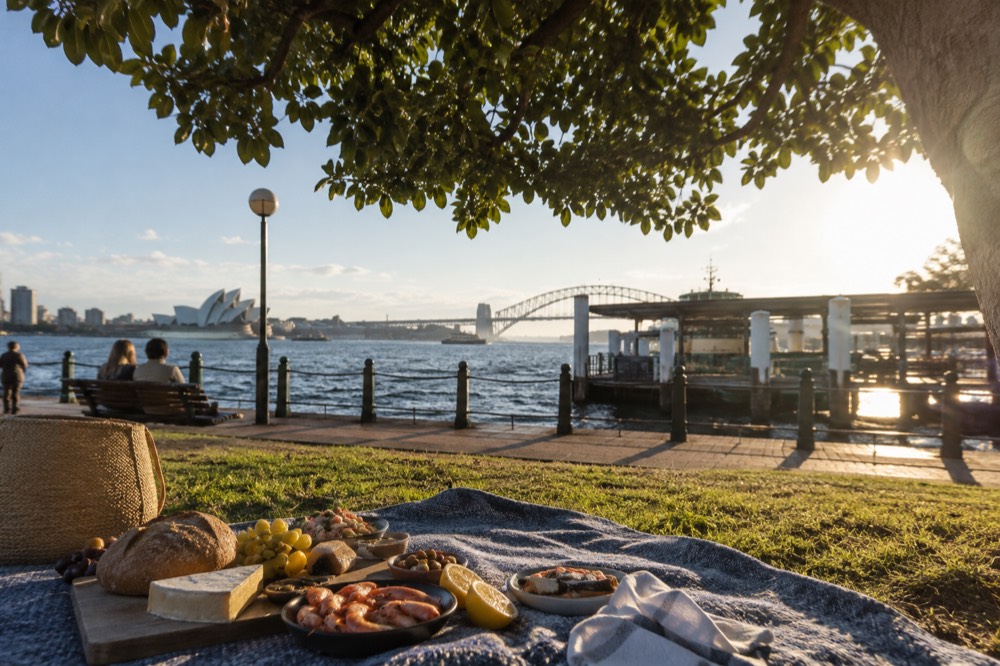 A picnic spread of bread, cheese and seafood on a blanket under a fig tree