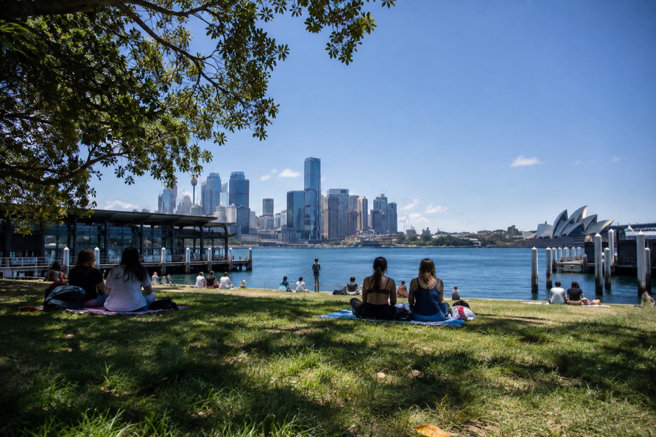 Shaded harbourfront lawn with picnic blankets and the Sydney skyline across the water
