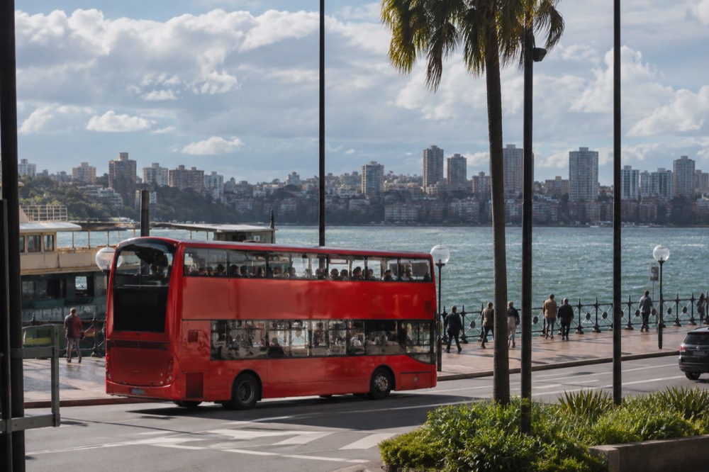 Double-decker sightseeing bus crossing a city street with harbour skyline behind