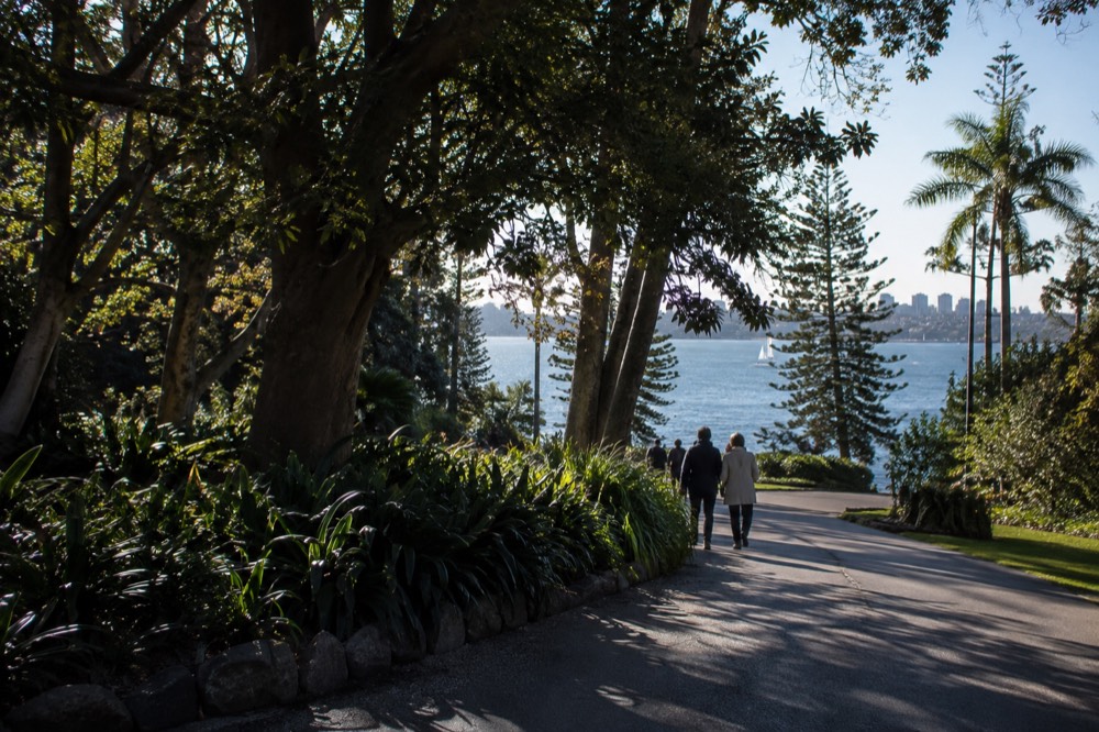 Shaded path through the Royal Botanic Garden with harbour water visible beyond the trees