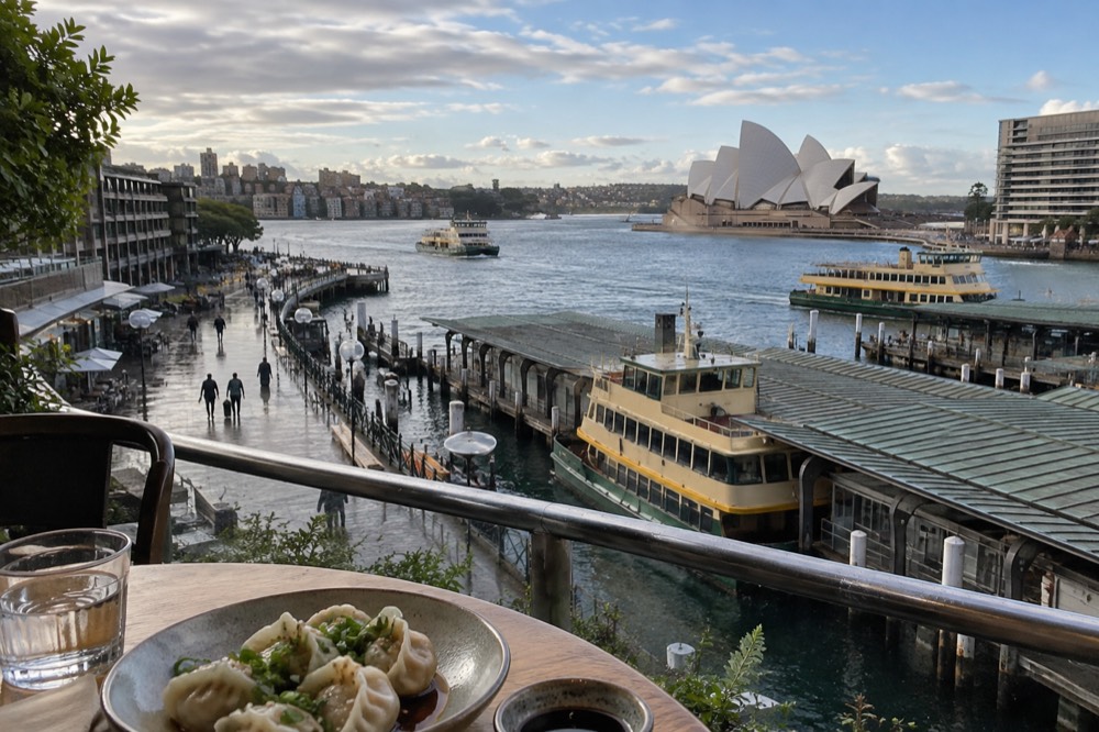 A plate of dumplings on a restaurant table in a warm, busy Sydney eatery