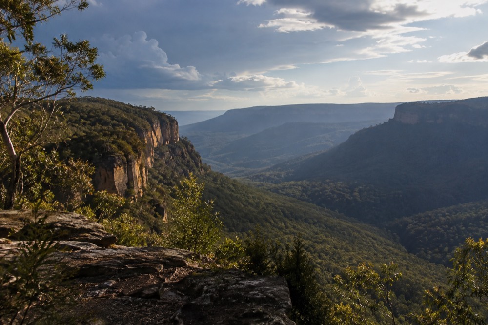 Blue Mountains valley view with sandstone cliffs and forest to the horizon