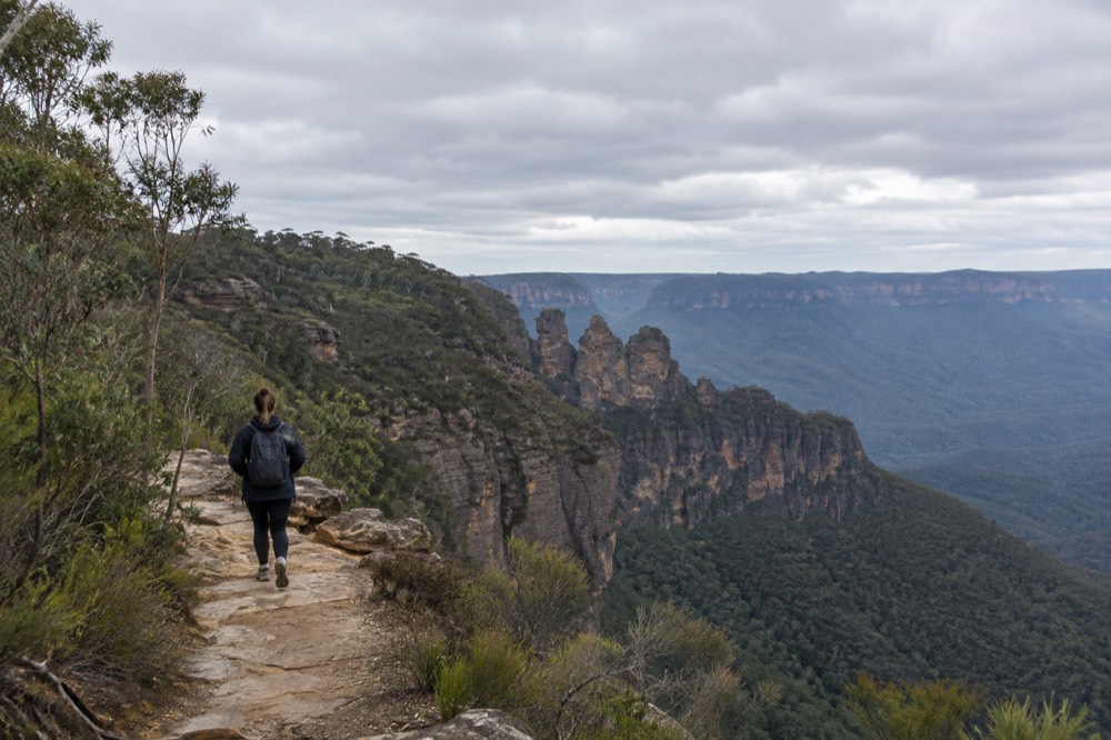 Sandstone cliffs and eucalyptus forest in the Blue Mountains under a wide sky