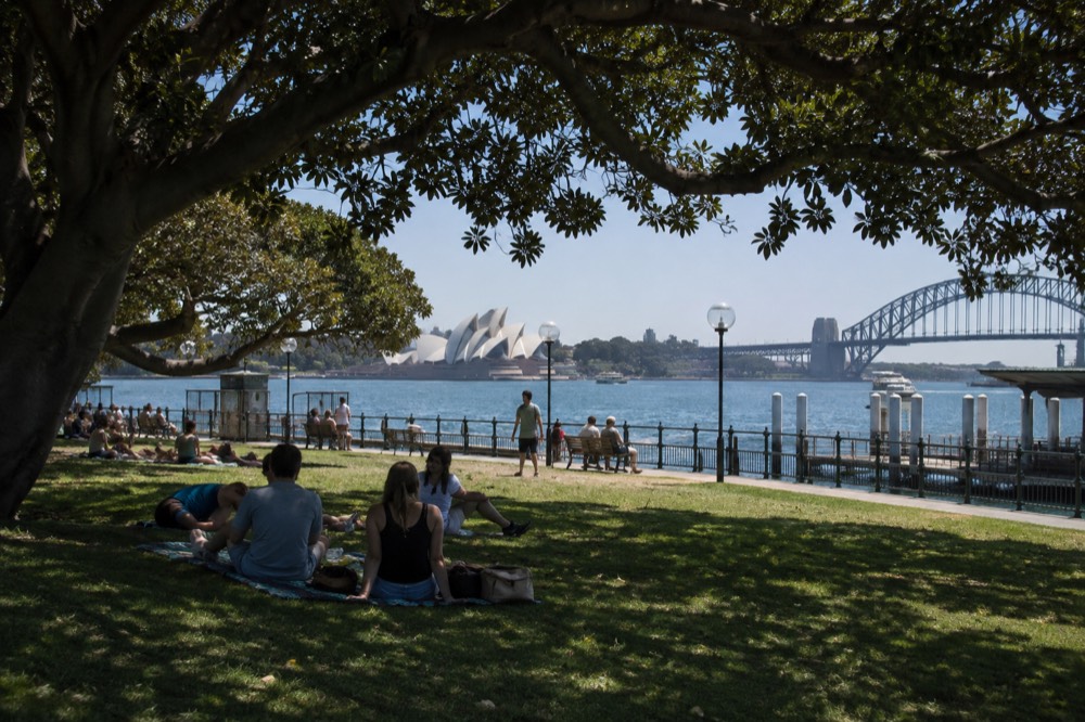 A harbourside lawn in Sydney with picnic blankets shaded by fig trees and the skyline behind
