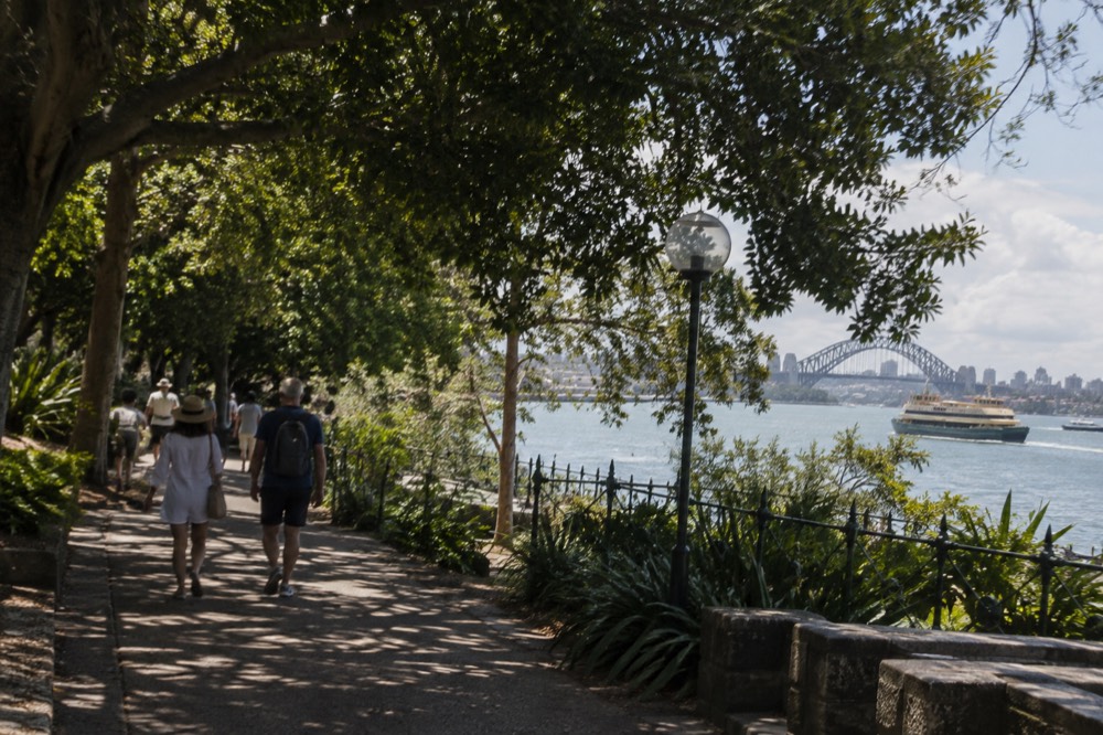 Shaded garden path with harbour water visible beyond trees