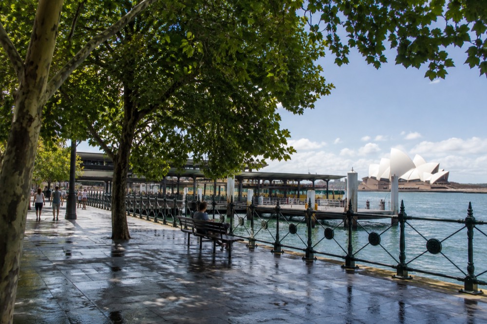 Harbour foreshore promenade with shade trees and water views