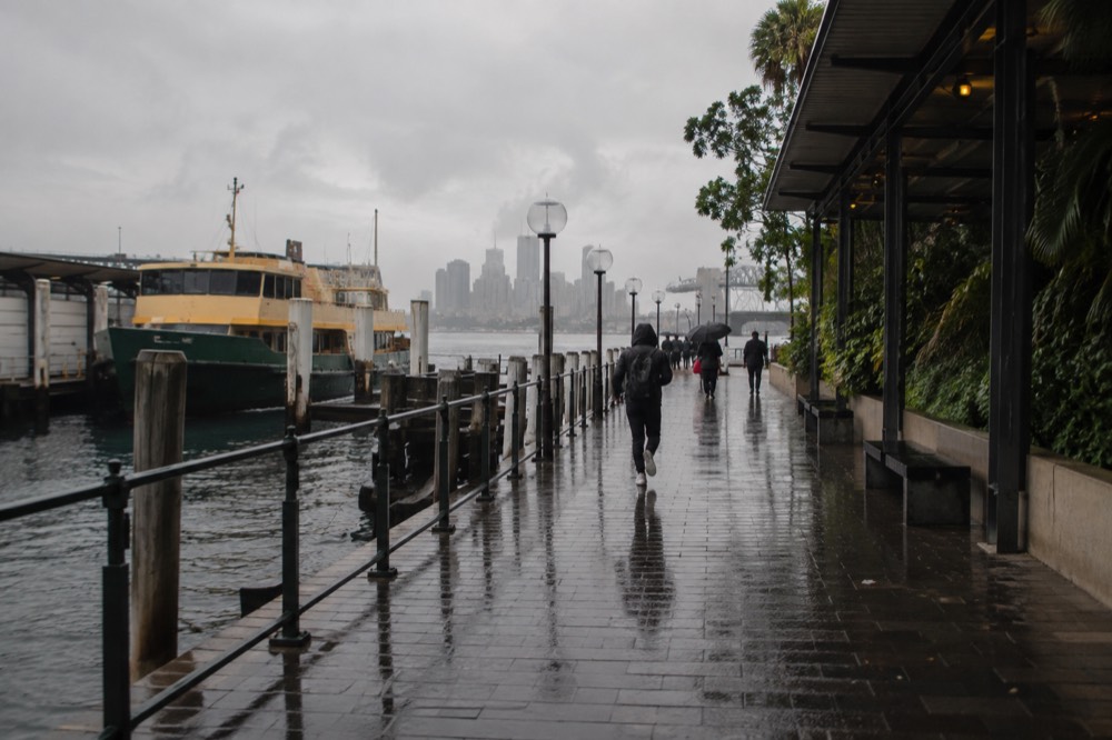 A covered zoo walkway with green foliage glistening in the rain